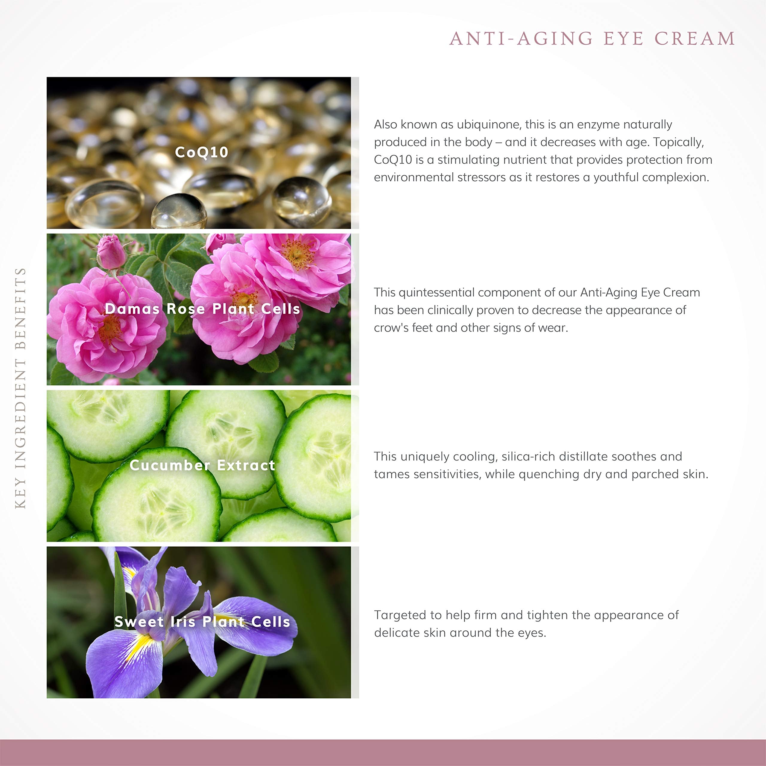 Annmarie Skin Care - Anti-Aging Eye Cream 15ml